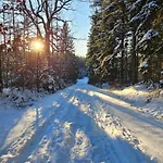 Am Wald דירה Tharandt