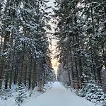 Am Wald