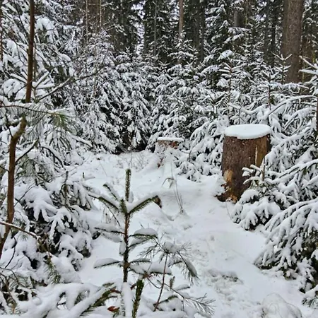 Am Wald شقة Tharandt