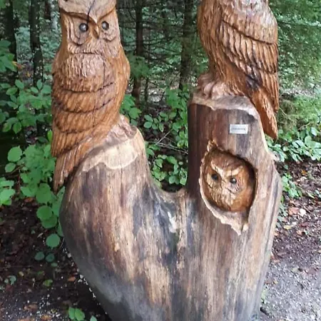 Daire Am Wald Tharandt