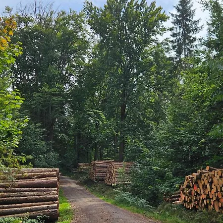 Am Wald Appartamento *