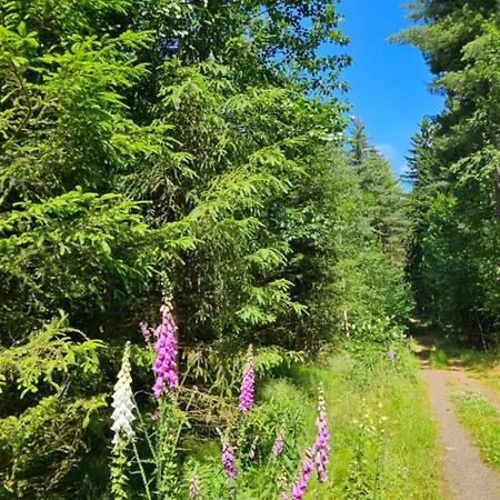 Am Wald *