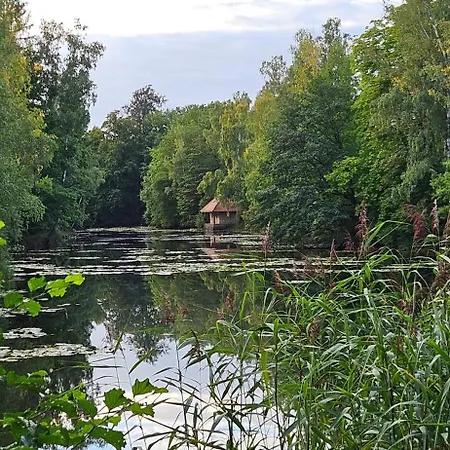 Am Wald Tharandt