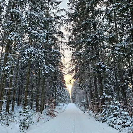 Am Wald